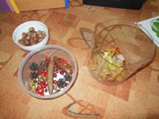 Pokusy a pozorování